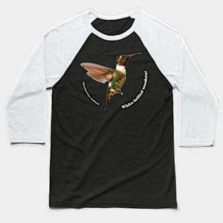 White-bellied woodstar hummingbird pin white text Baseball T-Shirt